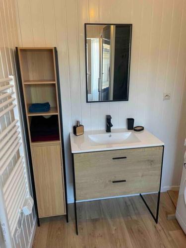 une salle de bain avec un lavabo et un miroir dans l'établissement Superbe duplex cœur de ville 3 étoiles, à Jonzac