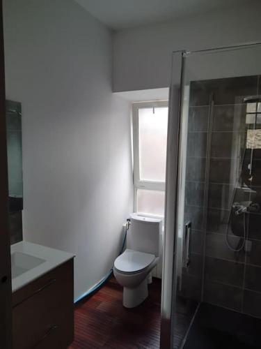 a bathroom with a white toilet and a shower at Appartement cœur de ville in Tréguier