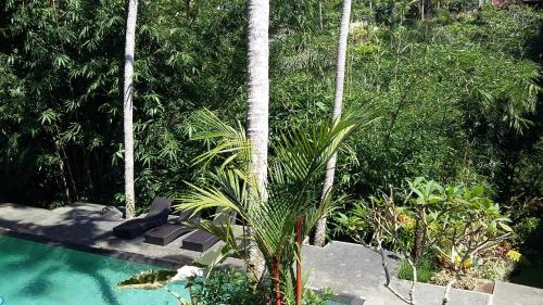 a palm tree next to a swimming pool at The Bali Shanti in Ubud