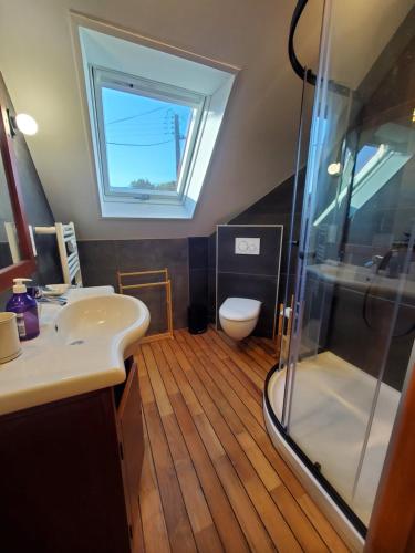 a bathroom with a shower and a sink and a toilet at Le quartier d'hiver in Cléden-Cap-Sizun