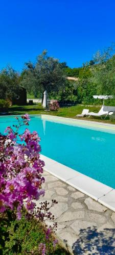 a swimming pool with blue water and purple flowers at Tenuta del Casale del Jazz - Jazz Emotional Experience - Rooms & Camping in the Countryside in Salisano