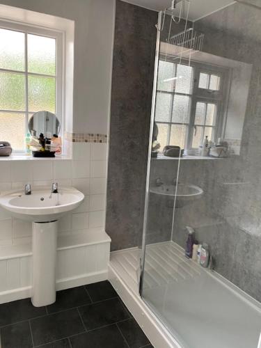 un bagno con doccia e lavandino di The Cottage a Exeter