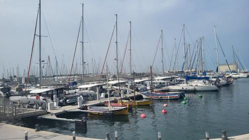Un gruppo di barche sono ormeggiate in un porto turistico. di Adorable petit appartement avec magnifique vue sur le port de Canet a Canet-en-Roussillon