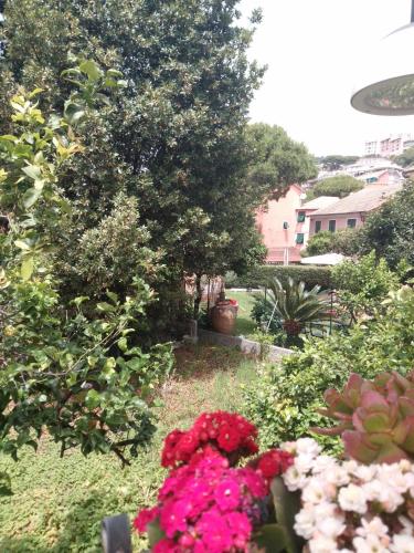 um jardim com flores e árvores rosas e brancas em Da qui, il mare em Gênova