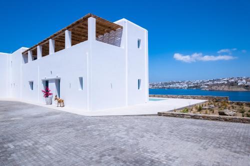 a white building with a dog standing in front of it at Myko Villa Private Heated Pool on beach in Ornos
