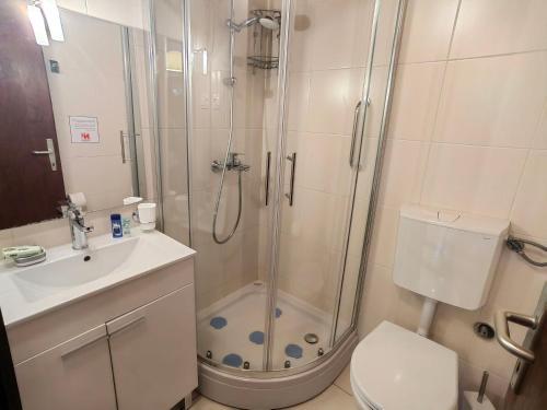 a bathroom with a shower and a toilet and a sink at Apartment Lada in Dramalj