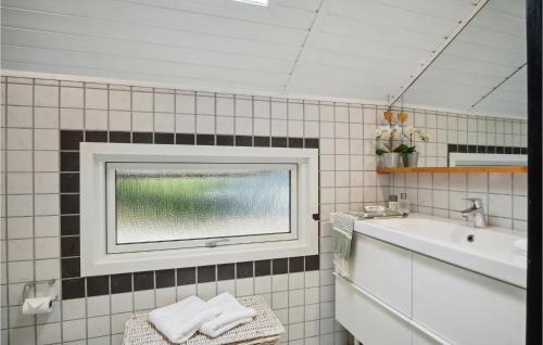 baño con lavabo y ventana en Lovely Home In Sklskr With Kitchen, en Skælskør