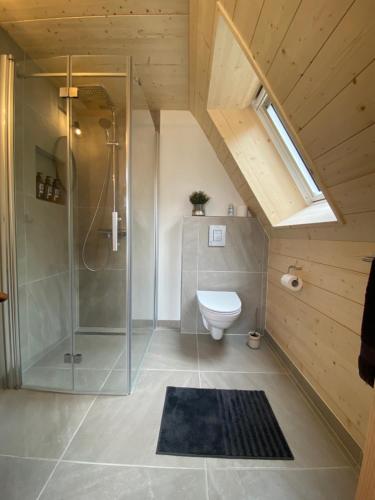 ein Bad mit einer Dusche und einem WC in der Unterkunft Hengifosslodge Tiny Houses in Egilsstaðir