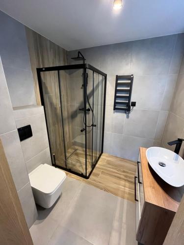 een badkamer met een douche, een toilet en een wastafel bij Szopówka Pod Grodziskiem in Dukla