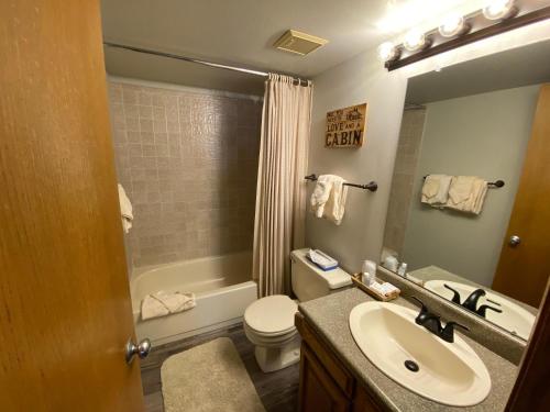 a bathroom with a sink and a toilet and a mirror at AA302 Buffalo Village in Silverthorne