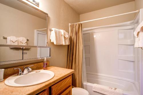 a bathroom with a sink and a shower at B-101 Buffalo Ridge in Silverthorne