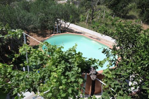 uma vista superior de uma piscina num jardim com plantas em Blue Sky Trogir em Plano