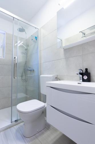 a bathroom with a toilet and a shower and a sink at Apartments Lonzor I in Selce