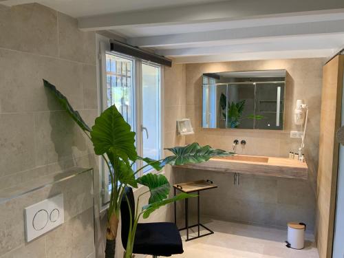 een badkamer met een wastafel, een spiegel en een plant bij Mas provençal les vanades in Aups