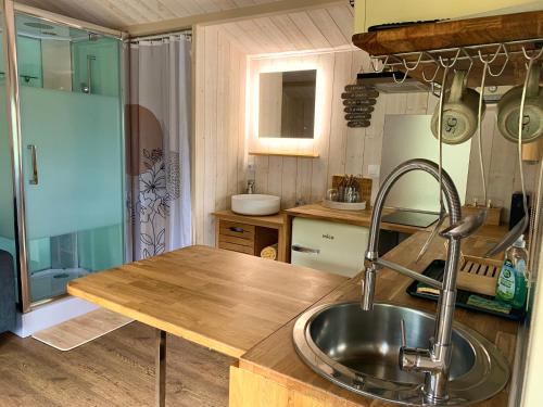 a kitchen with a sink and a counter top at Chalet cosy bord de Seine 30min paris in Carrières-sous-Poissy