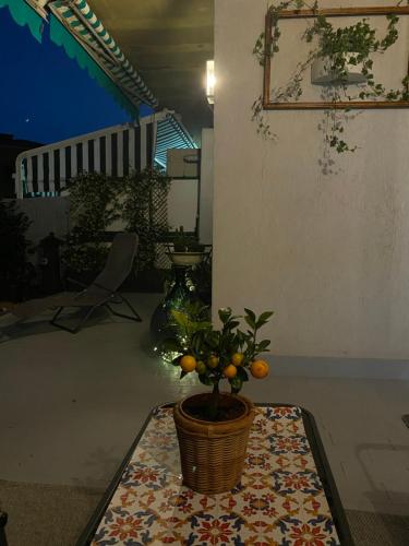 a potted plant sitting on a rug in a room at Belappart in Fiuggi