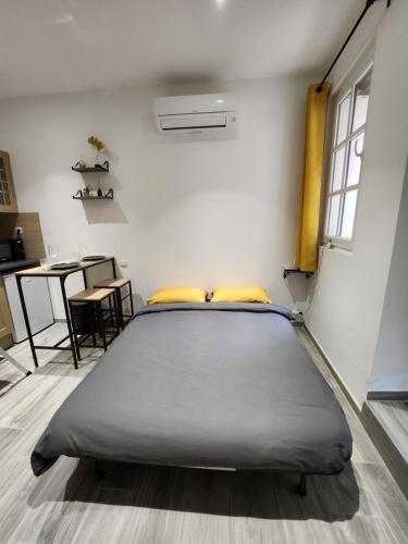 Studio climatisé avec cour privé en Rez-de-chaussée centre historique