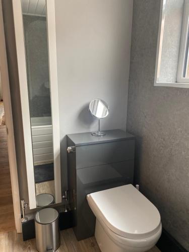 a bathroom with a white toilet and a mirror at Comfortable 2 bedroom home from home with parking in Nottingham