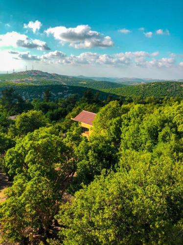 a house in the middle of a forest at مزرعة جوليا in Ajloun
