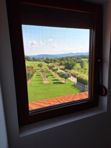 a window with a view of a field of palm trees at Apartmani Milosavljević in Kuršumlija