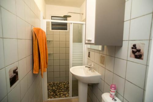 y baño pequeño con lavabo y ducha. en Maison de l'ébène Pas, en Cayenne