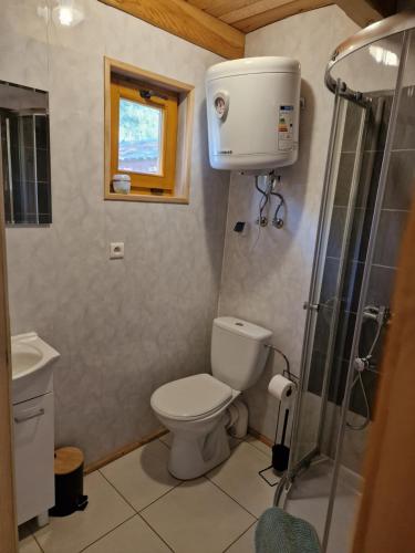 La petite salle de bains est pourvue d'une douche et de toilettes. dans l'établissement Domki Morskie Klimaty Rozewie Jastrzębia Góra, à Rozewie