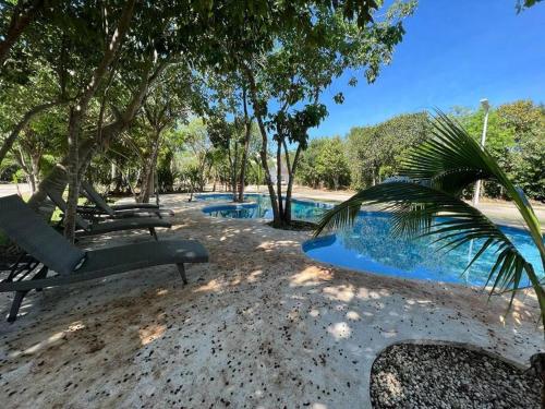 坎昆的住宿－Tranquilidad y comodidad para ti，一个带两把椅子的游泳池,一个棕榈树