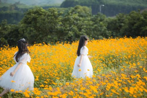 two girls in white dresses walking in a field of flowers at KHU DU LỊCH SINH THÁI HÒN MÁT in Vĩnh Yên