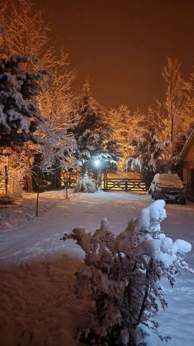 a snow covered tree in a yard at night at Cerro Indio in Potrerillos
