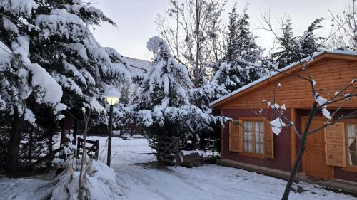 a log cabin with snow on the branches of trees at Cerro Indio in Potrerillos
