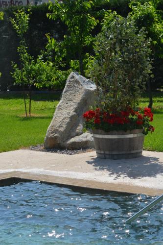 a potted plant and a rock next to a swimming pool at Villa Vera in Ora/Auer
