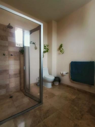 オアハカにあるCasa del Pibe Piolaのバスルーム(トイレ、ガラス張りのシャワーブース付)