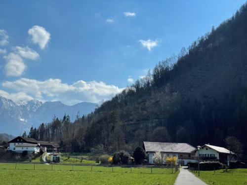 a road in a field with houses and a mountain at Ferienwohnungen Dopplerhof in Piding