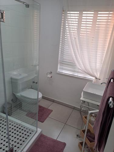 a bathroom with a toilet and a glass shower at Berlydai Guest Accomodation in Secunda