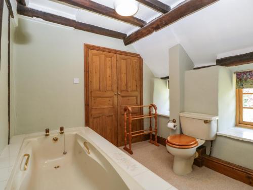 a bathroom with a bath tub and a toilet at Lower Court Byre in Kinsham