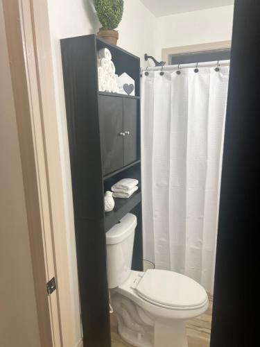 a bathroom with a white toilet and a shower at Modern 2 Bedroom Apartment in Monroeville