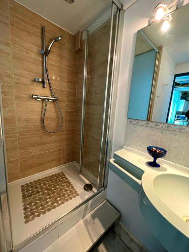 une salle de bain avec douche et lavabo dans l'établissement T2 à pied de plage sur ancien hôtel chic, samedi a samedi, à Saint-Jean-de-Luz