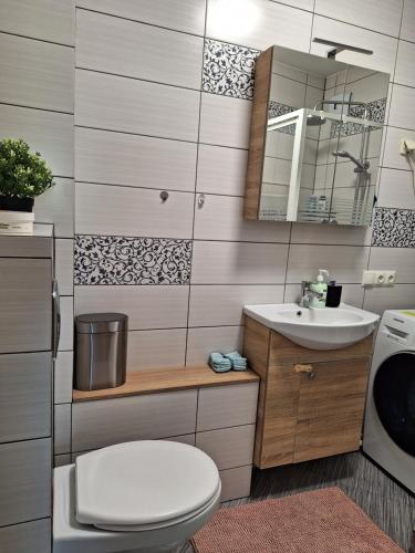 a bathroom with a toilet and a sink at Dzintaru apartamenti in Mērsrags