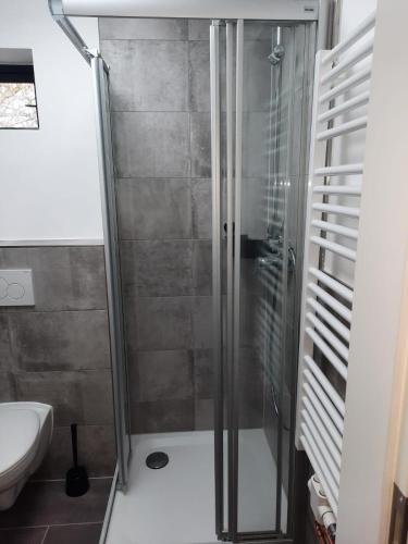 uma casa de banho com um chuveiro e um WC. em Auszeit em Mölln