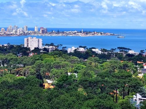 uitzicht op een stad met de oceaan en gebouwen bij Moderno Apartamento #1 Excelente ubicación in Punta del Este