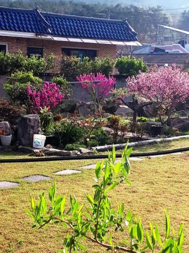 einen Garten mit rosa Blumen vor einem Gebäude in der Unterkunft Breeze in May Pension in Gyeongju