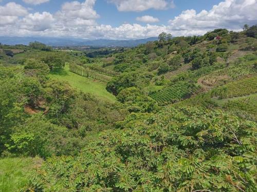 Casa Verde. – Photos 2