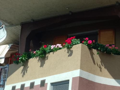 una caja de ventanas llena de flores en un edificio en La Pergola, en Bellano