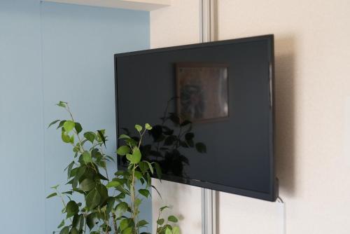 a flat screen tv hanging on a wall with a plant at Kameari 1108 Budget Stay High Floor Near Station Mall Disney Access in Tokyo