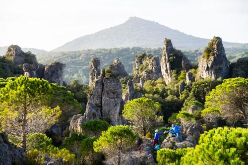 Φυσικό τοπίο κοντά σε αυτό το διαμέρισμα