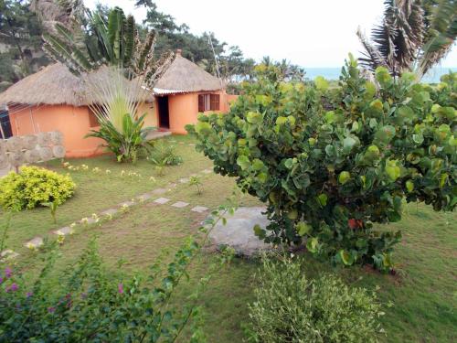 a garden with a house and a tree at Hôtel Alizé Plage in Baguida