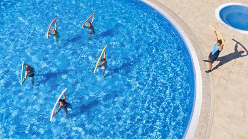 a group of people on surfboards in a swimming pool at TUI BLUE Kalamota Island - Adults Only in Dubrovnik