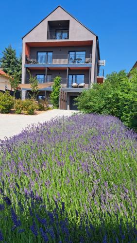 Profi Kecó Apartman