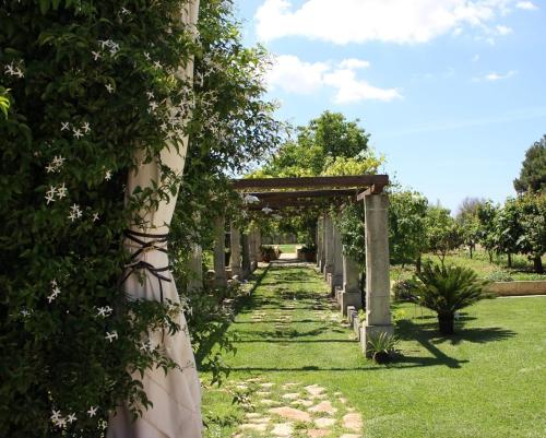 Zahrada ubytování Villa CICIA