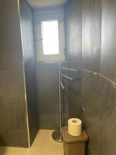 a bathroom with a shower and a toilet with a window at SOPRAMARE BB - APPARTAMENTI in Rodi Garganico